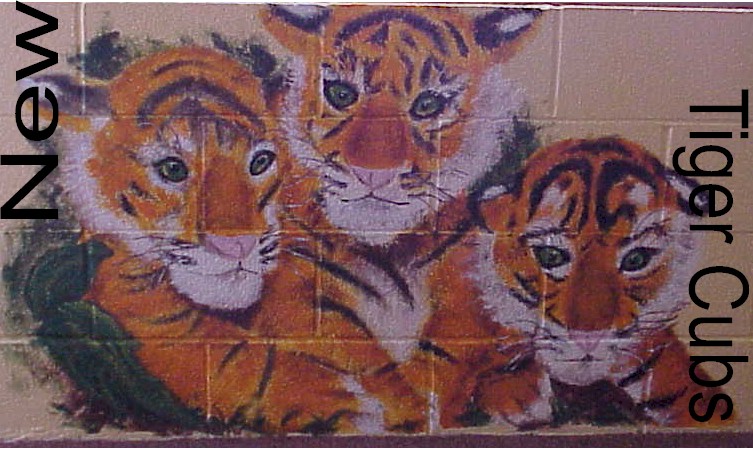 The tiger cubs near Mr. Nichols room.  B & I painted this on the summer after my freshman year ('00-'01)